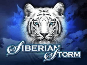 Banner of Siberian Storm by IGT